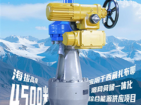 4500米！良固閥門集團服務全球海拔最高的光熱電站